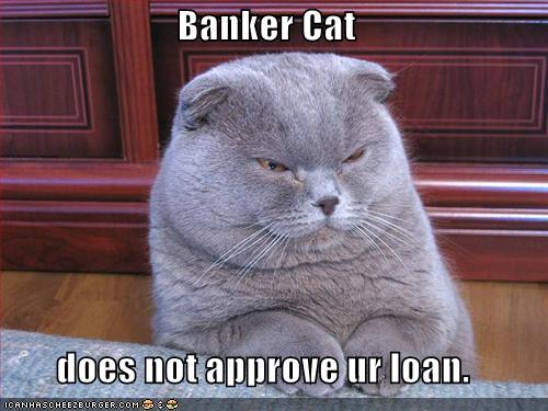 funny pictures banker cat מבוא ליצירת לידים